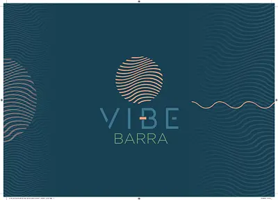Vibe Barra
